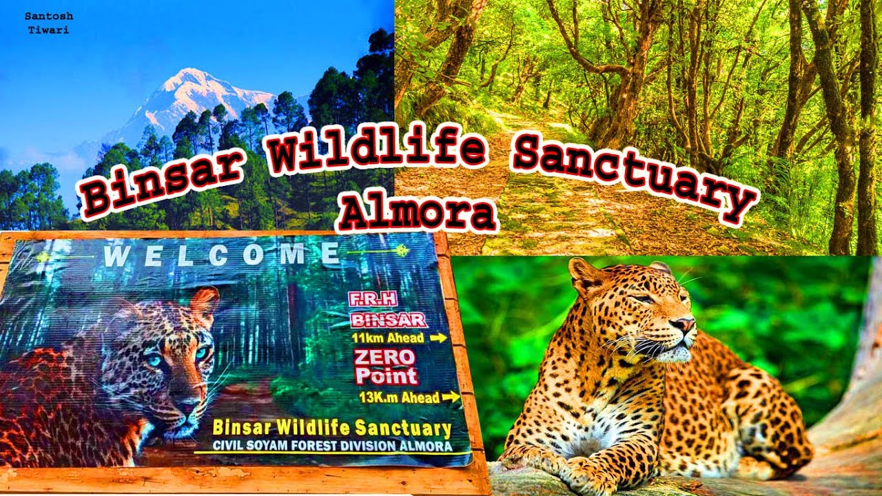 Binsar Wildlife Sanctuary, Almora, Uttarakhand image 1